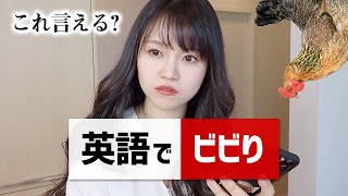 ４つの英語 ビビり チキン 根性なし 弱虫 意気地なし は何て言うの 旅